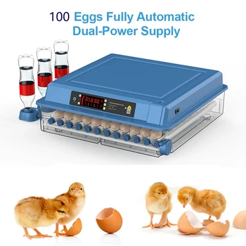 100 Kiaušiniai Inkubatoriuje Su Stalčių Tipo Mini Kiaušinių Inkubatorius Su Automatiniu Vandens Joninių Vandens Telkinys Papildymo Ir Temperatūros Kontrolės