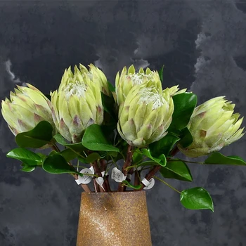 Dirbtiniai Augalai, Gėlės Plastiko Padirbtų Augalų 80cm Monarch Gėlių Dirbtiniais Magnolija Filialas Lapų Namų Vestuvių Šventė Šaliai Dekoro
