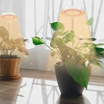 LED Grow Light Visą Spektrą Fito Augti Lempa USB Phytolamp Augalai, 5V Lempa Augalų Augimą, Apšvietimas, dekoratyviniai augalai