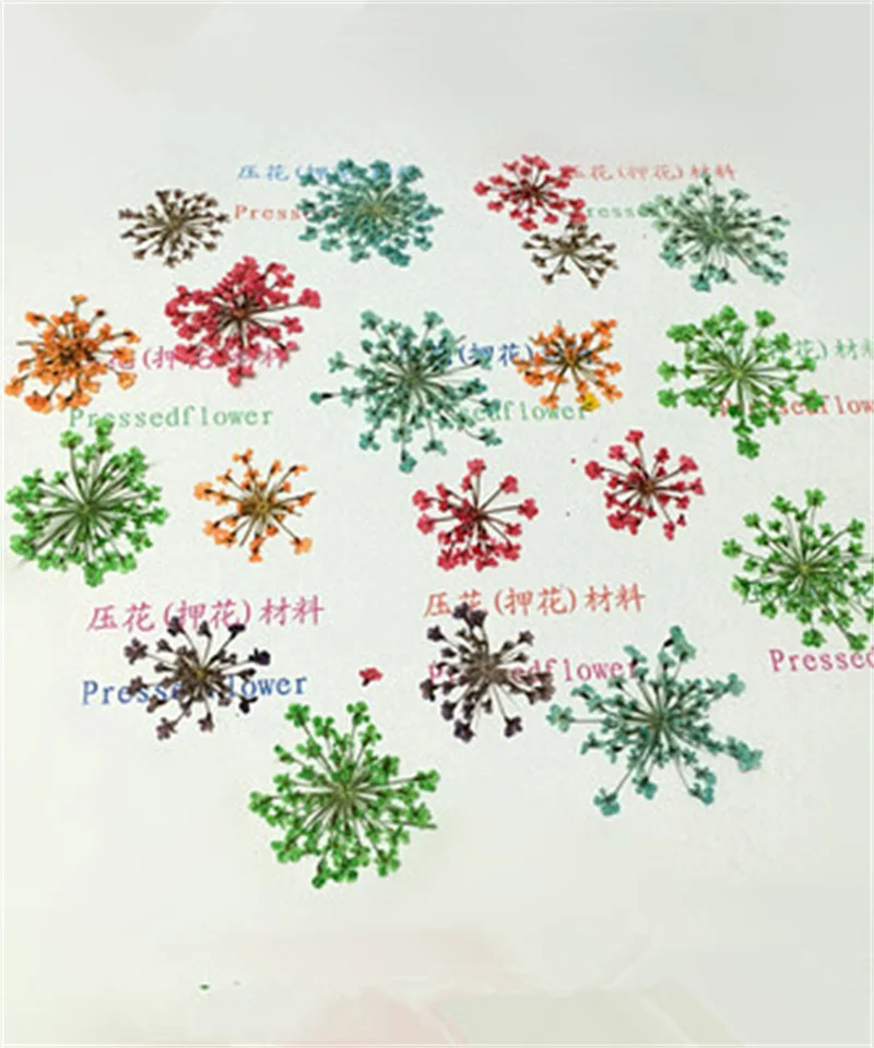 50pcs Įvairių Stilių Nekilnojamojo Sausų Gėlių Nail Art Pakabukai 3D Mini Gamtinių Star Žiedlapis Nagų Dekoravimo, 