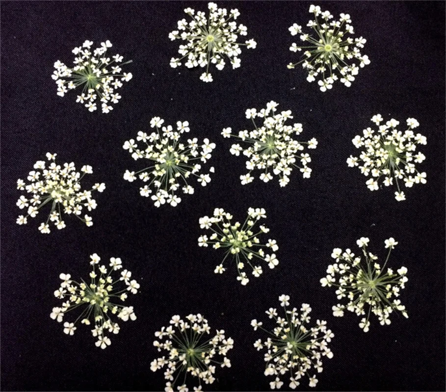 50pcs Įvairių Stilių Nekilnojamojo Sausų Gėlių Nail Art Pakabukai 3D Mini Gamtinių Star Žiedlapis Nagų Dekoravimo, 
